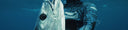 Heavy Blue Water Spearfishing
