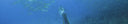 Spearfishing The Canary Archipelago