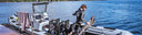 A Comprehensive Guide To Spearfishing Charters