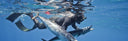 Spearfishing Omilu In Hawaii