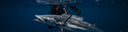 Two Things I Wish I Knew When I Started Spearfishing