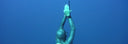 Thibault Guignes Wins First Place Overall At AIDA Freediving World Cup 2021
