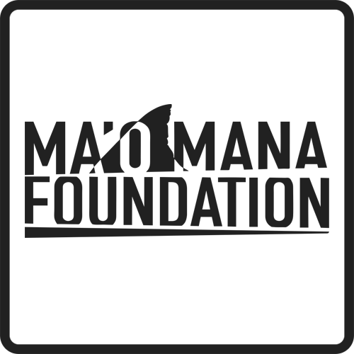 Alchemy x Maomana Foundation