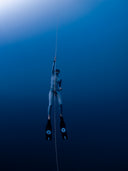 alchemy ICON fins