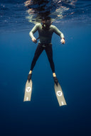 alchemy ICON fins