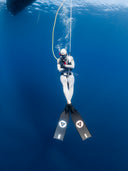 alchemy ICON fins