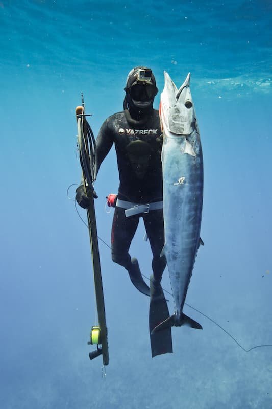 Shinny stuff on our guns, stickers and lures, why not? - General  Spearfishing Discussion - Spearfishing World forum