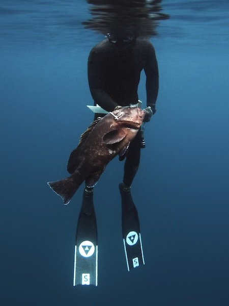 Diving Fins - Spearfishing & Freediving Fins - Start Point