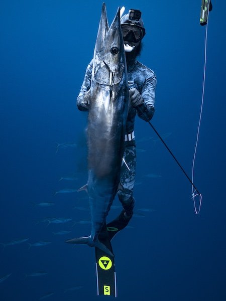 Fin Bags Archives - Spearfishing World
