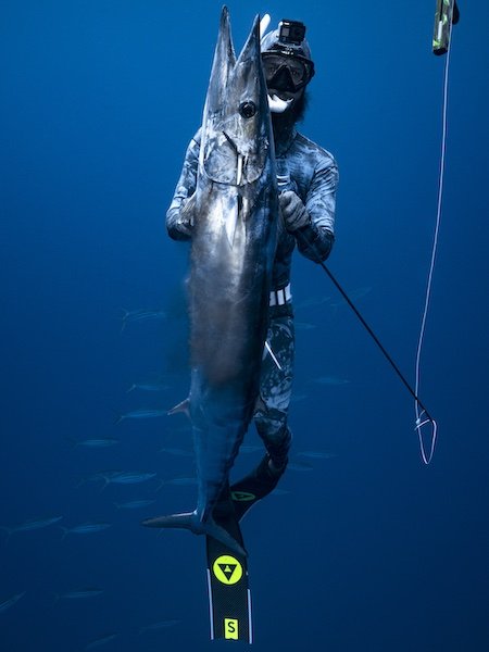 Spearfishing Fins - Spearfishing UK