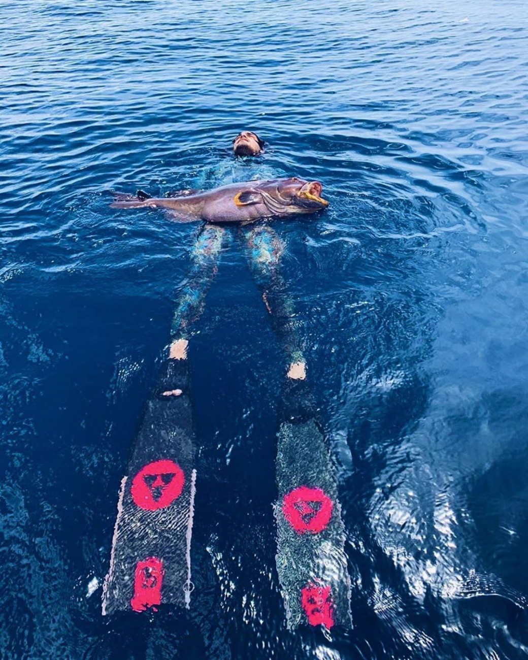 spearfishing with alchemy s30 carbon fins