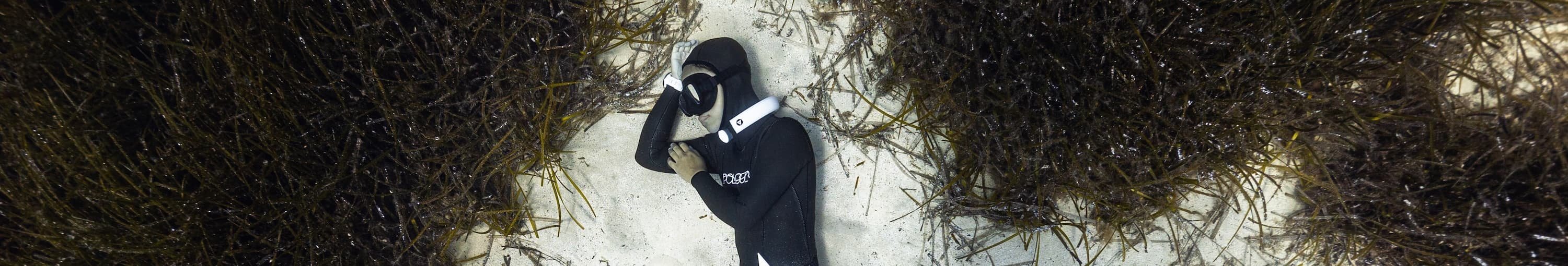 How To Clean The Mold Off Your Freediving Neoprene Wetsuit