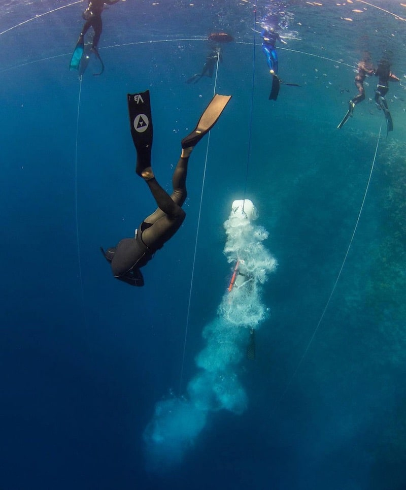 diver in black wetsuit underwater wearing alchemy v3pro carbon fins