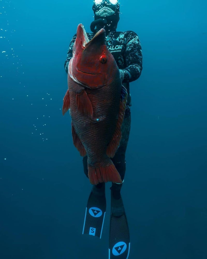 diver underwater holding a big red fish and wearing alchemy s30 carbon fins
