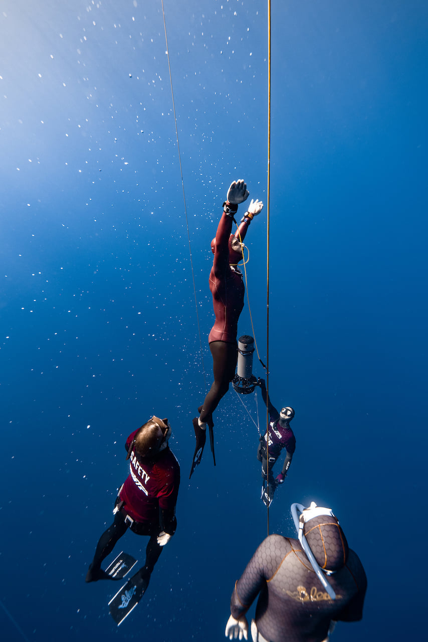 divers at sea freediving