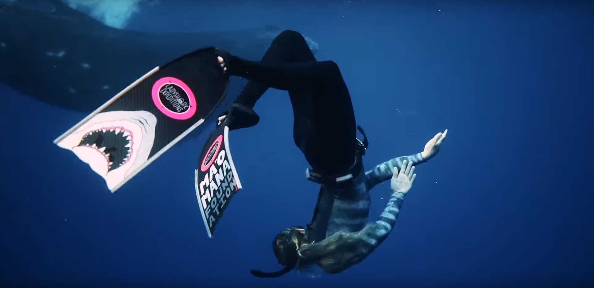 kori garza freediving with a whale wearing alchemy v3 carbon fins