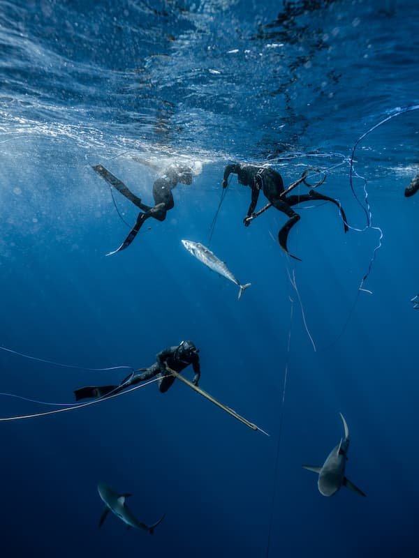 How to Spear Fish: The Greatest Spearfishing Guide Ever Created