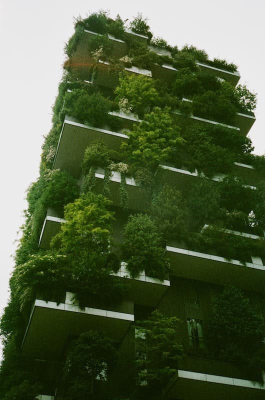 vertical garden