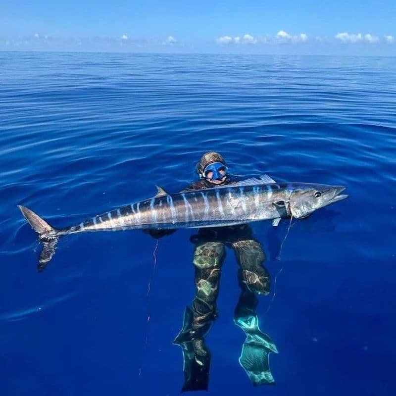 spearfishing_wahoo_2